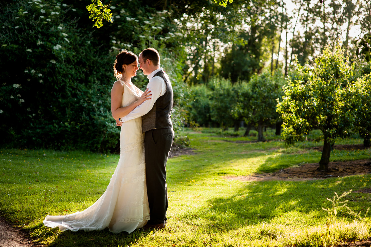evening sunlight shines behind bride and groom while they are photographed in the orchard on their wedding day