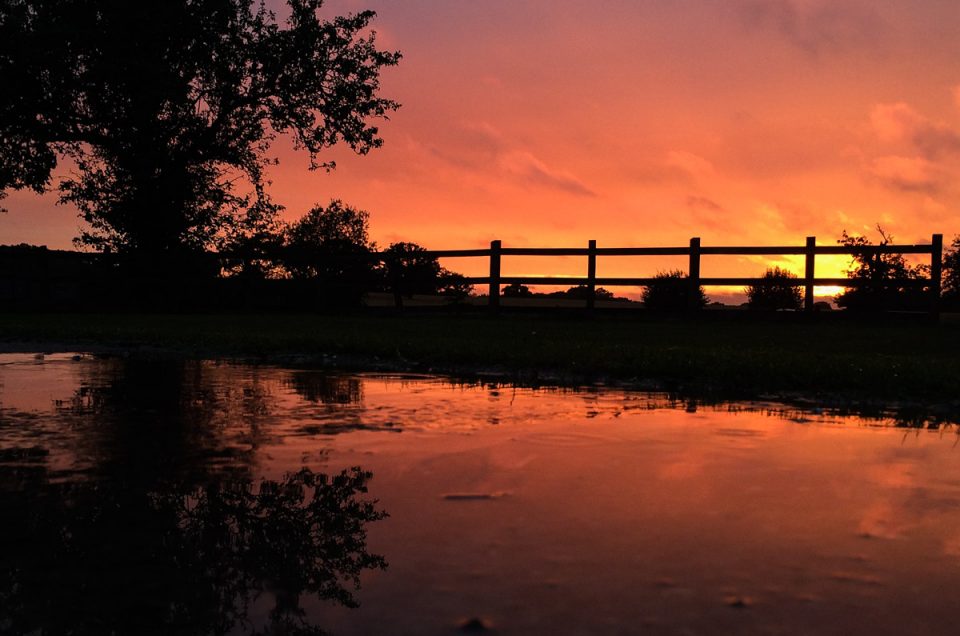 Photograph of sunset at Fridd Farm in Kent taken with iPhone