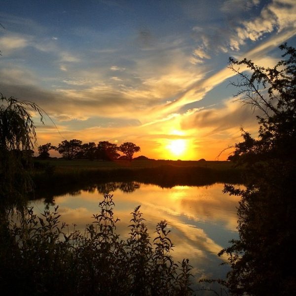 Photograph of sunset over pond at Fridd Farm in Kent using iPhone