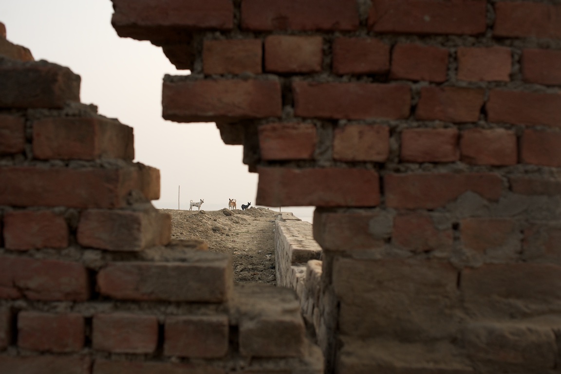 View of dogs through broken wall by the ganges in India