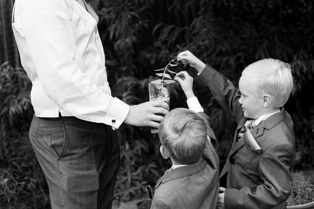 page boys put leaves into drink of one of the groomsmen at pub before wedding