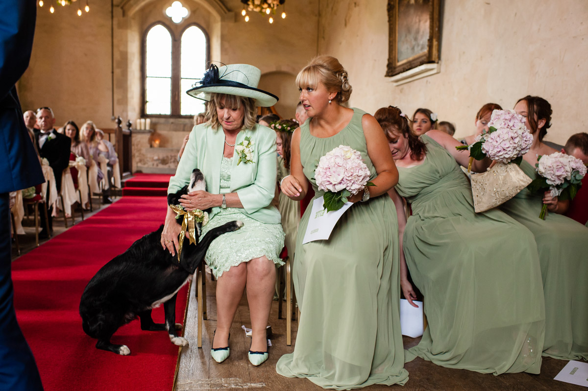 Bridesmaids and mother of the bride stroke brides collie dog at St Augustines priory wedding ceremony venue in Kent