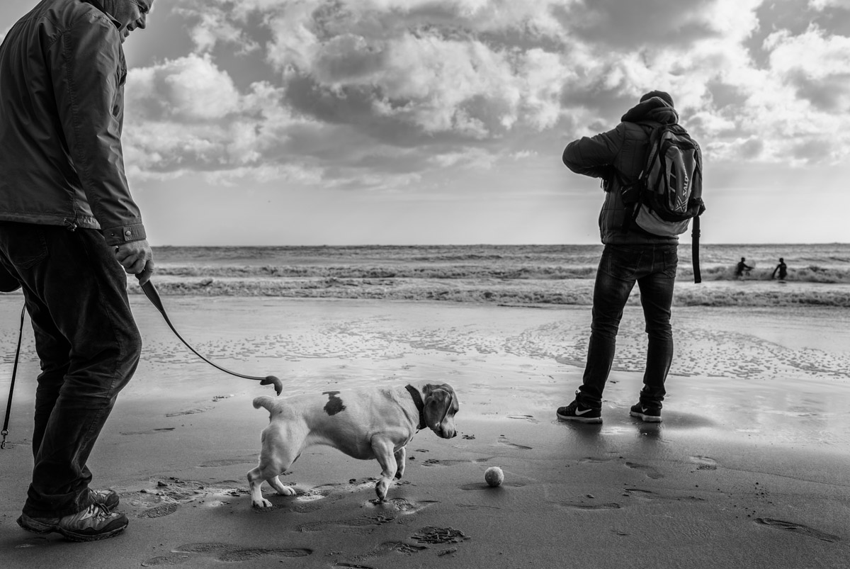 Man and his dog photographed on Folkestone beach in Kent
