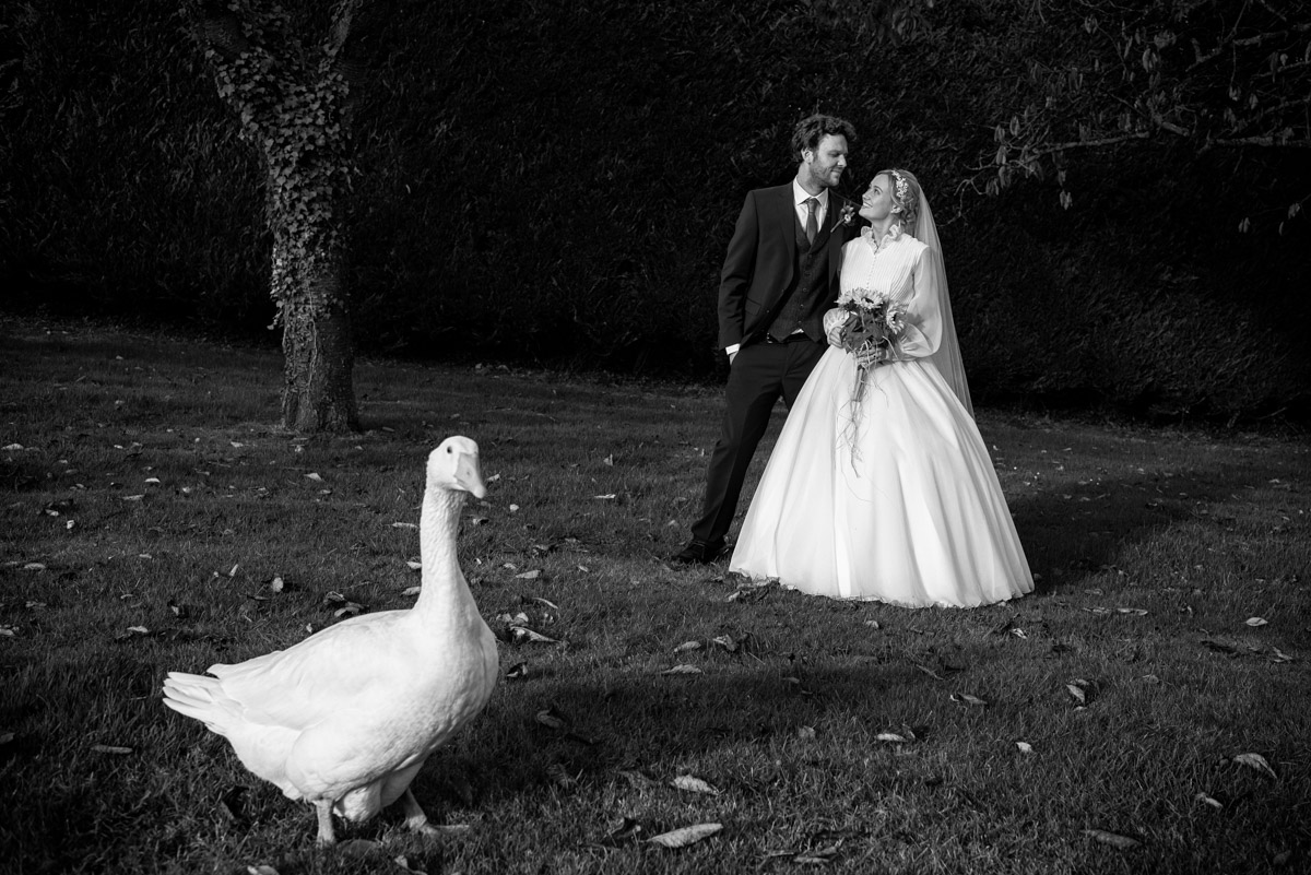 Photograph of jane and Steven with the family goose on their wedding day