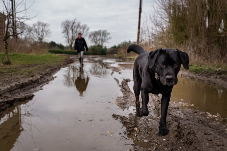 Photograph of dog and Claire in kent