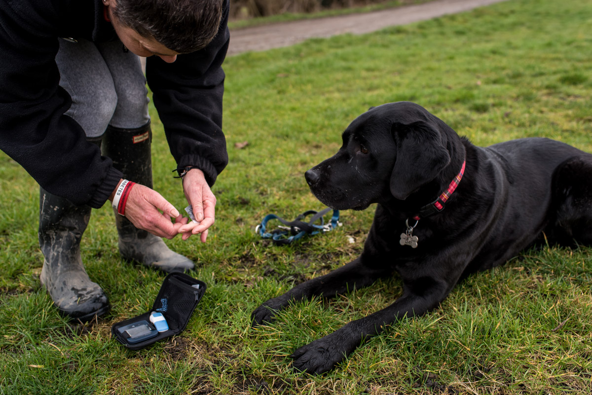 Claire tests her blood while her medical detection dog looks on