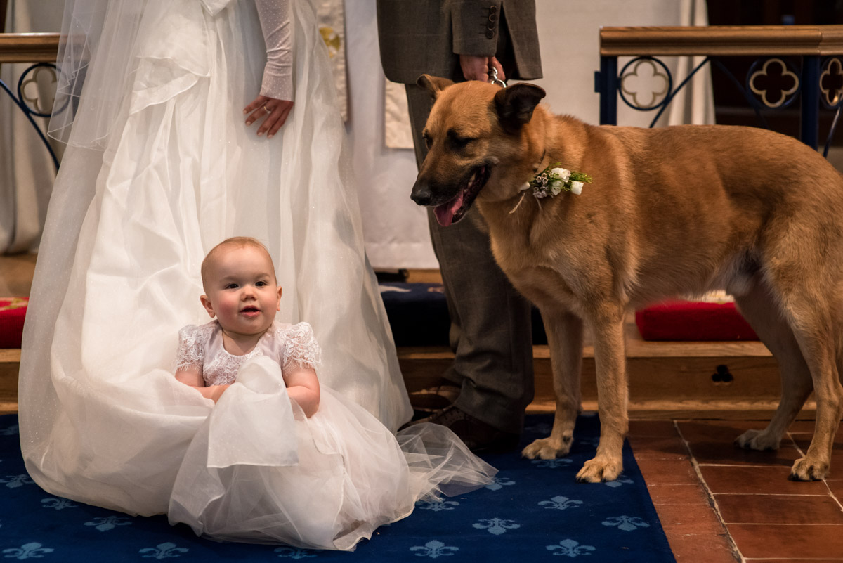 Photograph of dog and baby during Kent church wedding