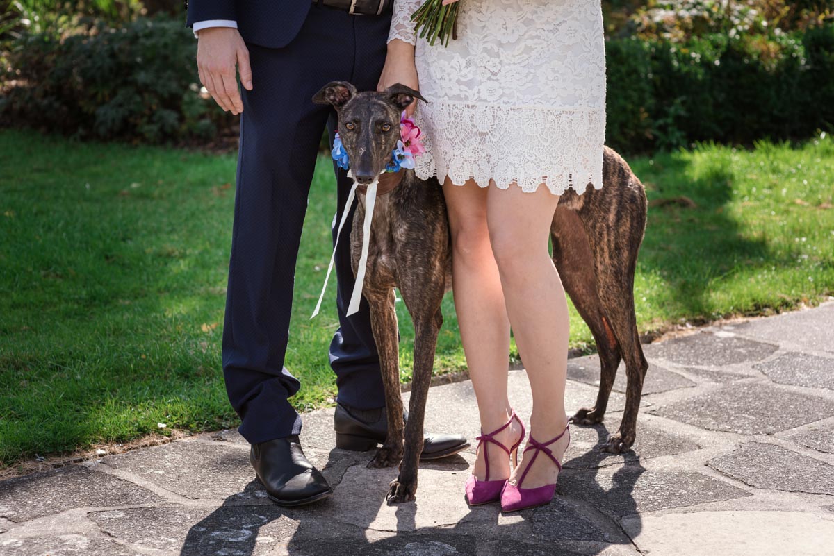 Photograph of Alex and james dog on their wedding day at danson house in kent