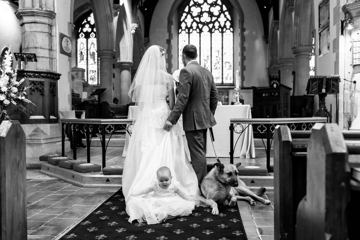 baby and dog sitting on brides train during kent wedding ceremony