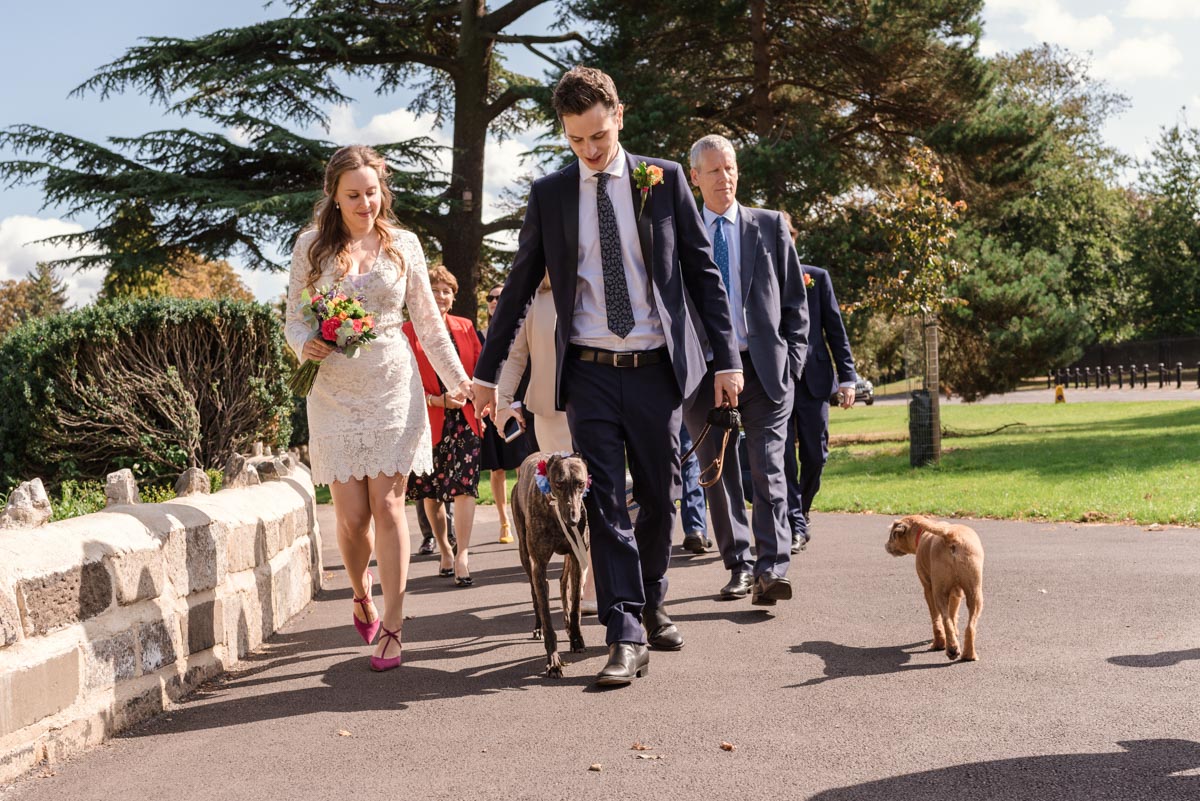 Couple, their dog and wedding guests walk back from the gardens outside Bexley House wedding venue