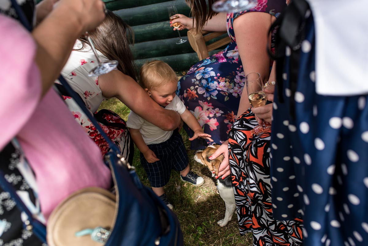 Little boy and jack russell dog at Kent country wedding reception