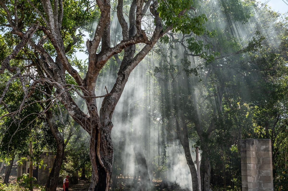 smoke and sunlight shining through trees in mexico