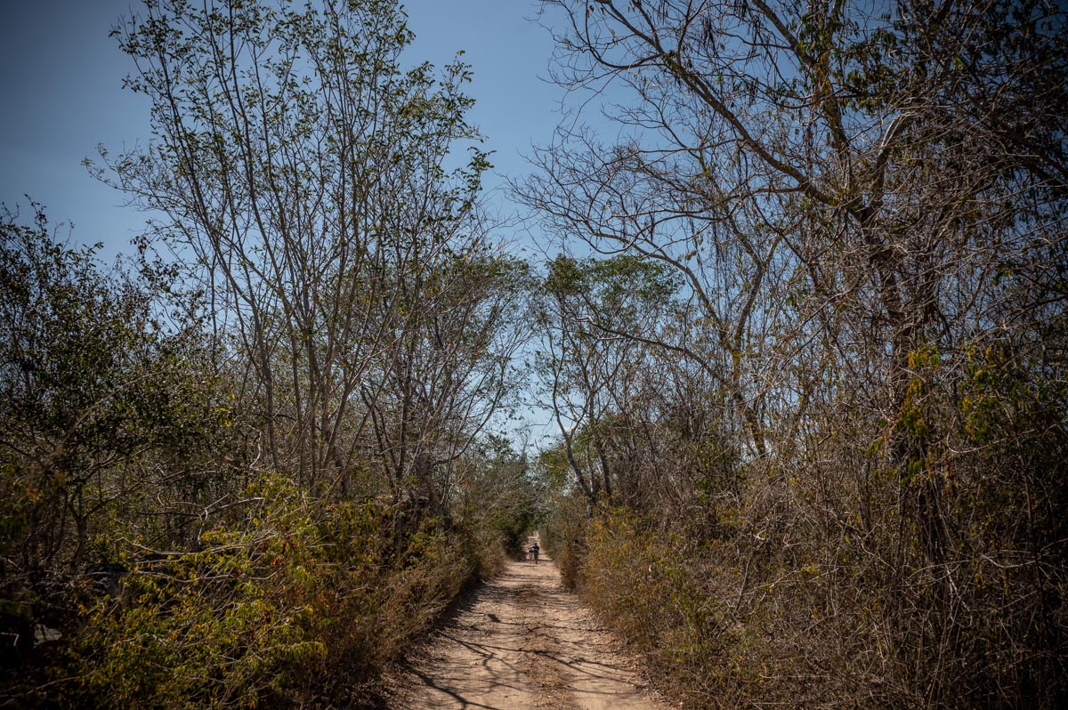 Mexico, dirt road leading to cenote. The feeling I have in a world without weddings