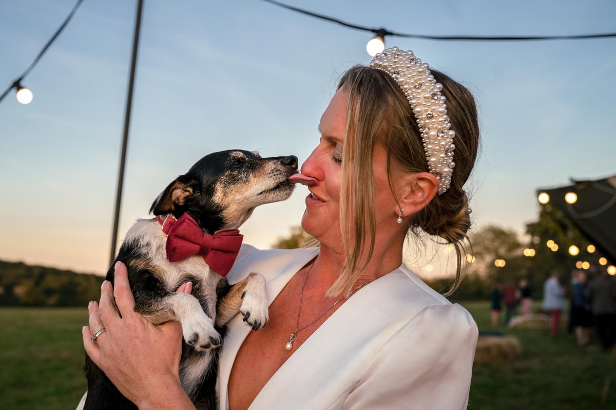 Kent summer wedding, a bride and her dog