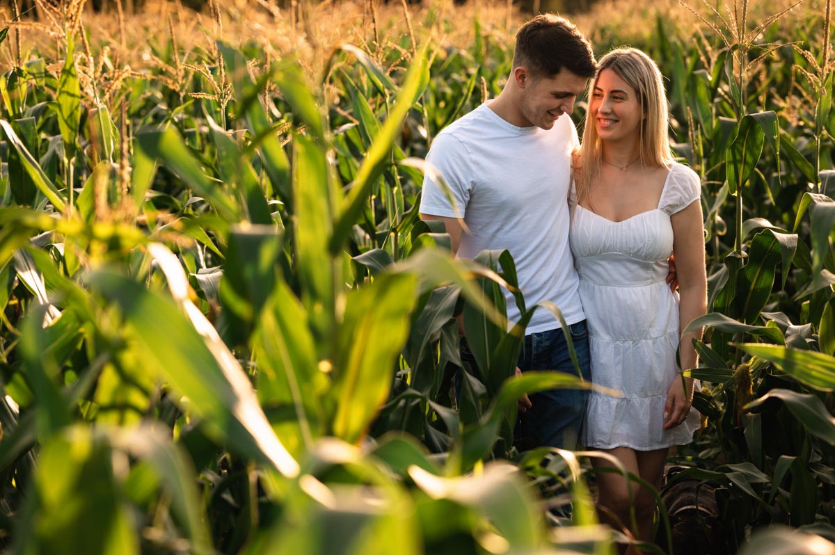 sarah and james walk through field of maize on kent farm during their pre wedding photoshoot at golden hour