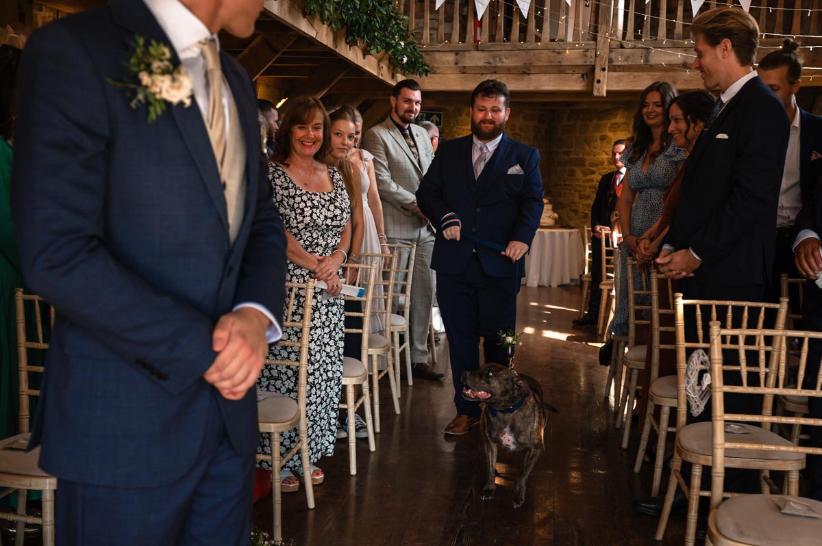 Bride and grooms dog photographed at their wedding at swallows oast