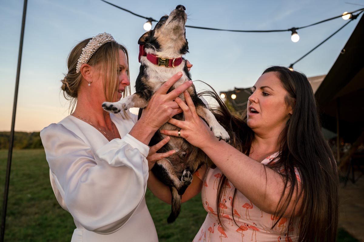 Dogs and weddings. Sarah and her dog Monty